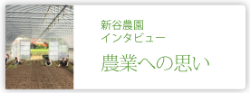 新谷・農園